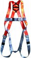 safety harness 1