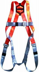 safety harness