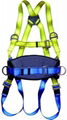 safety harness 3