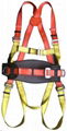 safety harness 4