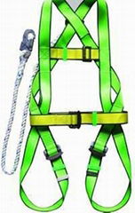 safety harness