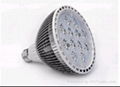 LED Spotlight 1