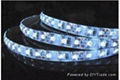 LED Strips,LED Street Light 3