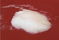 magnesium sulfate heptahydrate(industry grade) 1