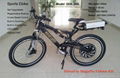 sports ebike/motor power bike/hub motor