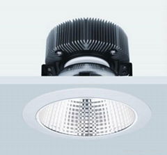 30W COB LED Downlight