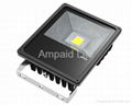 50W LED Floodlight