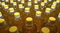 Crude Rapeseed Oil 4