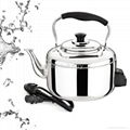 Electric whistling kettle