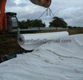 Geotextile 2