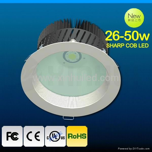 Ultra Bright 8 Inch LED Downlight IP44 