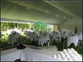 Party Tent 1