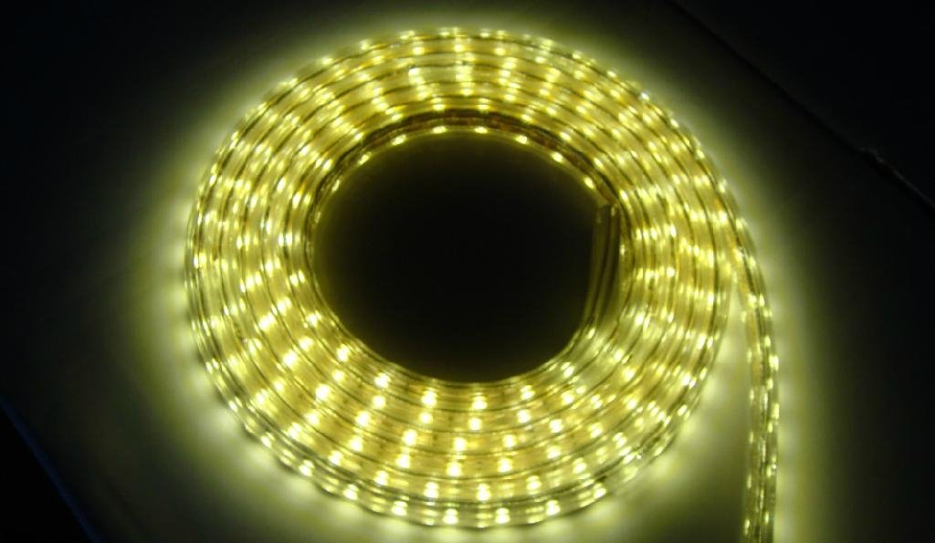 Hot Sale LED Strip Light for Jewelry Showcase 2