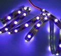 smd 5050 flexible Digital LED Strip