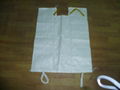 laminated woven bag