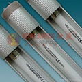 Triphosphor energy saving T8 tube