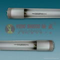 15w T8 tube in tube manufacturer 2