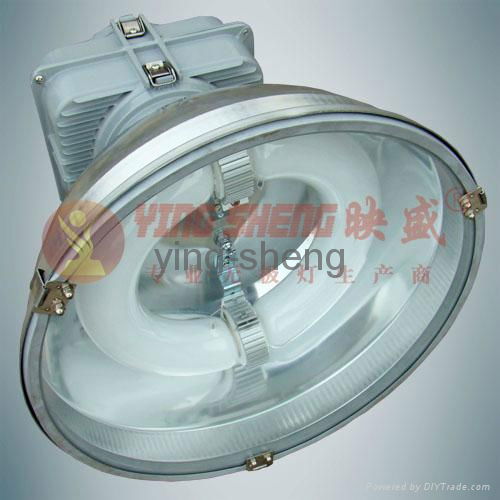 low frequency 40w ring electrodeless lamp 3