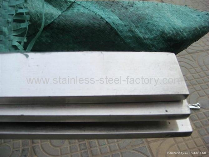 stainless steel flat 3