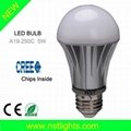 CREE 5W LED Bulb With Cool White 2
