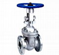 Cast Steel Gate Valve 4