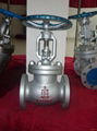 Cast  Steel Globe Valve 1