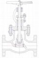 Cast  Steel Globe Valve 2