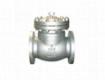 Cast Steel Check Valve