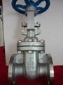 API 600 Gate Valve 1