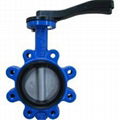 Concentric Butterfly Valve (150lb) 1