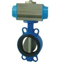 Concentric Butterfly Valve (150lb) 2