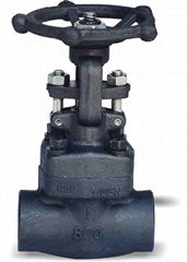 Forged Steel Gate valve