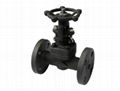 Forged Steel Gate valve 2