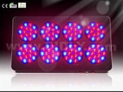 Apollo-8 LED grow light