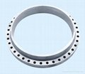 Stainless steel flange  1