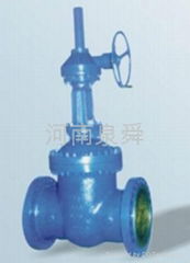 Bevel Gear Drive Wedge Gate Valve