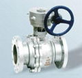 Worm-gear Drive Floating Ball Valve