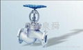 Stainless Steel Flange Globe Valve 1