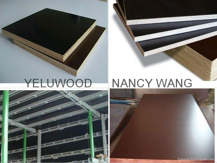 phenolic glue Film Faced Plywood for construction