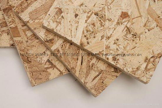 OSB (Oreinted Strand Board) 2