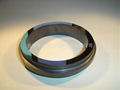 Ceramic sealing ring 1