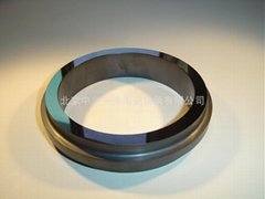 Ceramic sealing ring