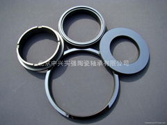 Ceramic sealing ring