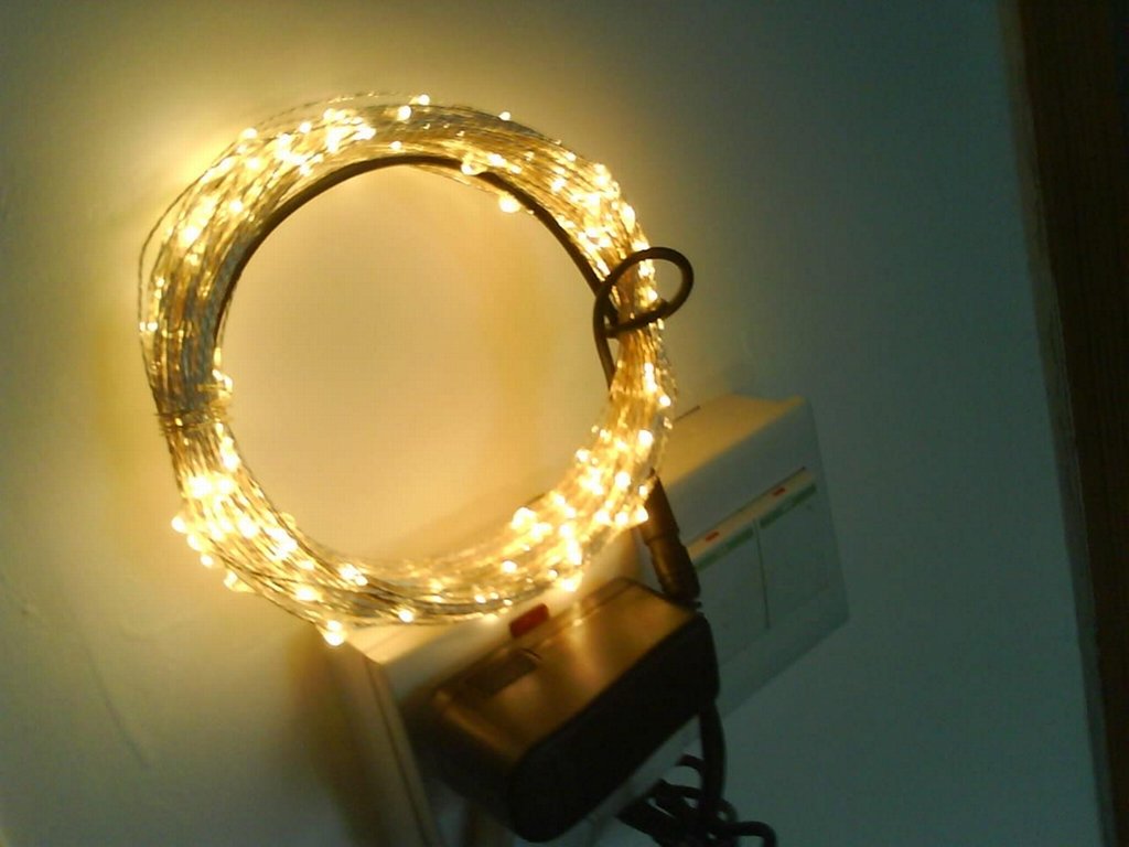 LED铜线灯串 5