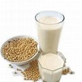 Ruchi soya products for export