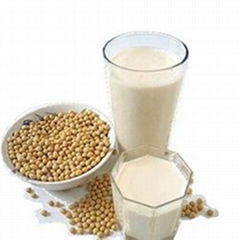 Ruchi soya products for export