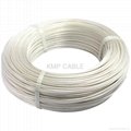 Teflon cable