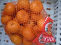 mandarin orange 3