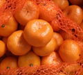 mandarin orange 1