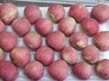 red star apple 2